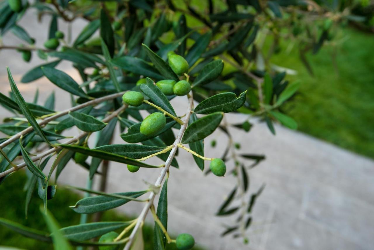 Apartament Olive 101 Peraía Zewnętrze zdjęcie